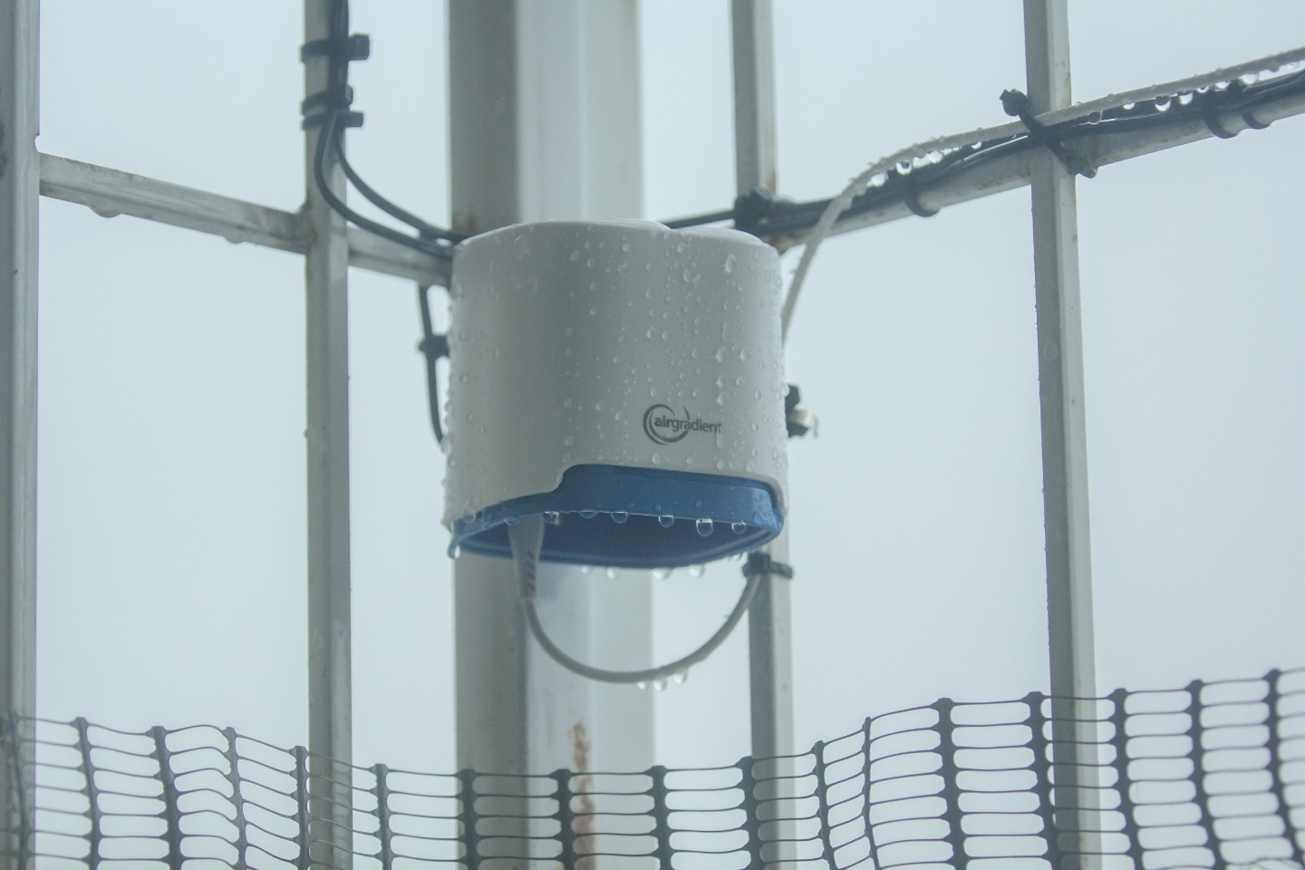 item number 4 of Tai Duangjan's gallery