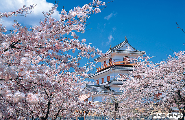 Miyagi Prefectural Health and Environment Center' profile cover
