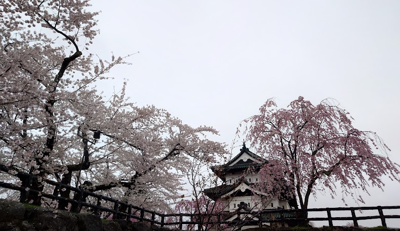 Aomori Prefectural Government' profile cover