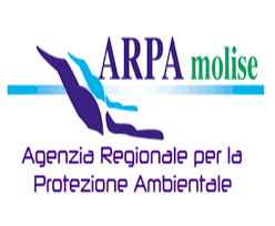 رمز المساهم