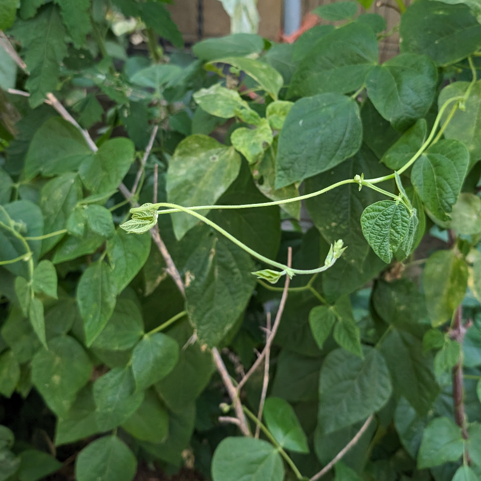 数据提供者图标