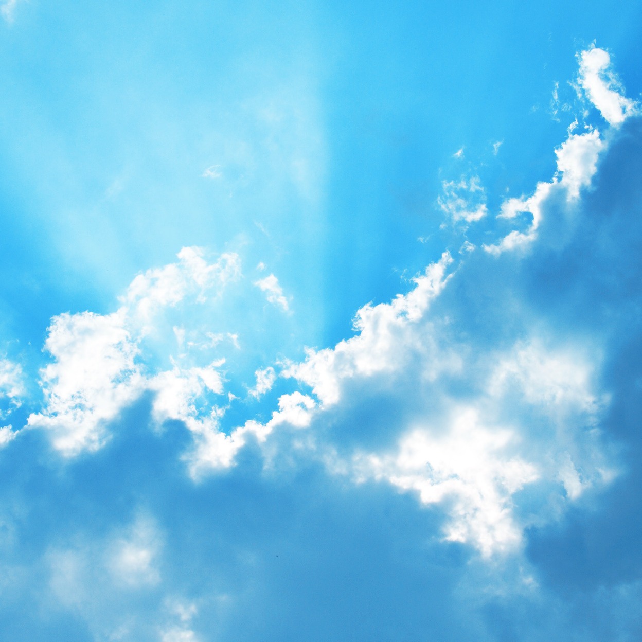 数  据提供者图标