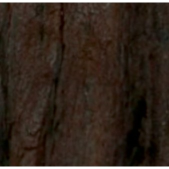 数据提供者图标