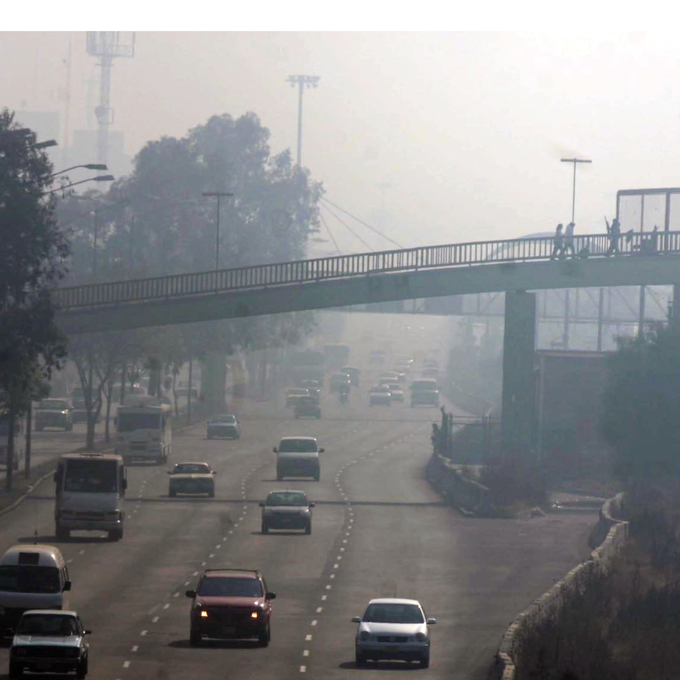 Ruben Garnica / Tecnológico de Monterrey profile