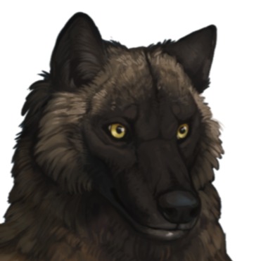 Archer profile