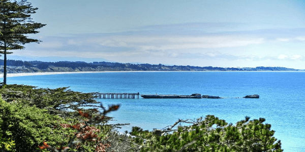 Hippopo' profile cover