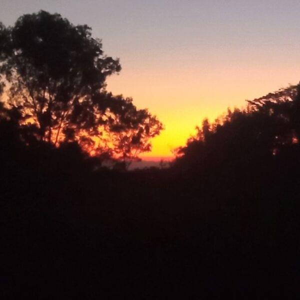 رمز المساهم