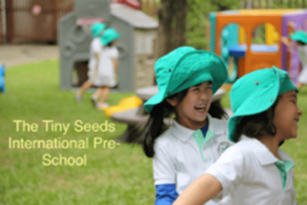 The Tiny Seeds ' profile cover