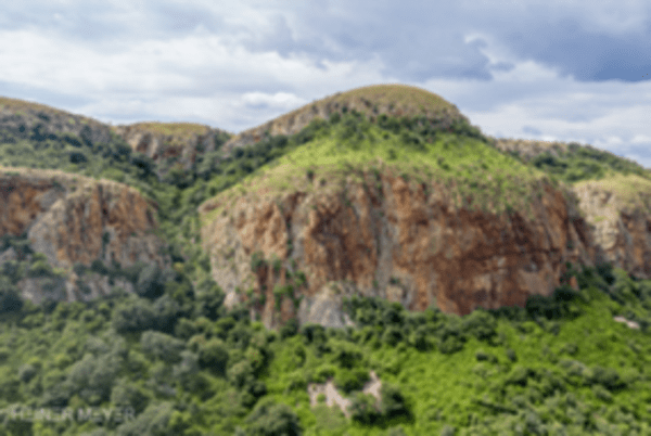 HEINER MEYER - GALEO' profile cover