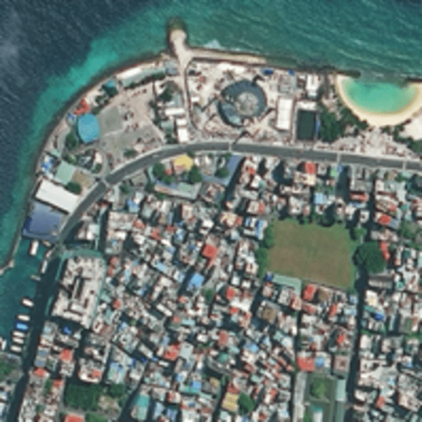 Icône du contributeur