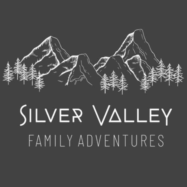 数据提供者图标