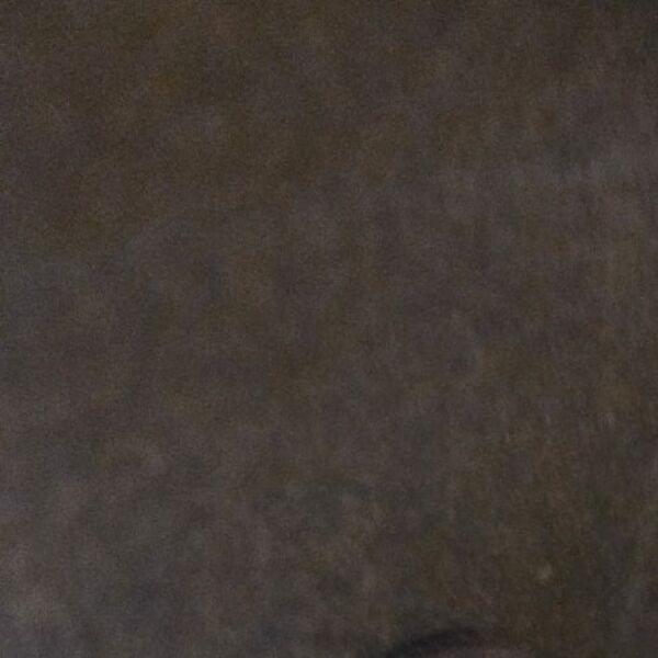 Anonymous profile