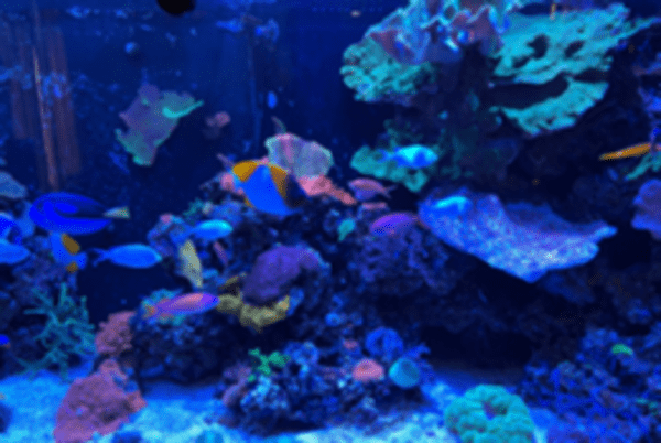 Brian Goshorn' profile cover