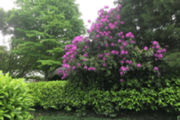 Robert Curry' profile cover