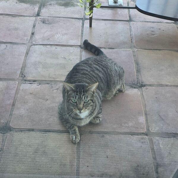 数据提供者图标