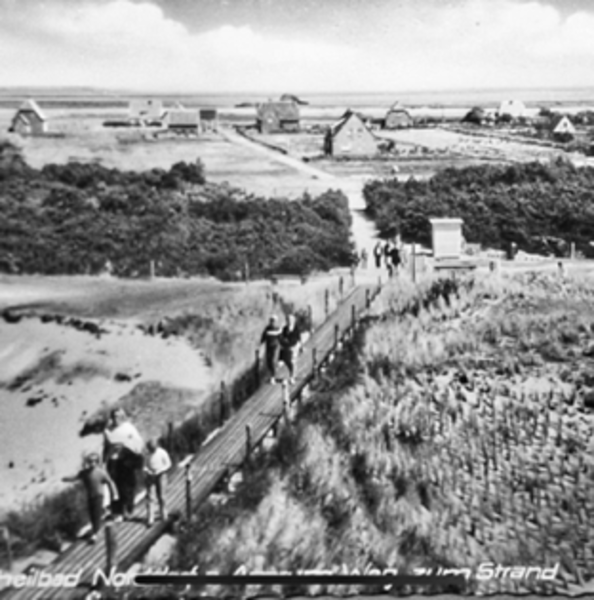 رمز المساهم